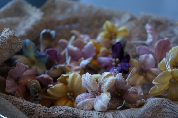 ベルベットの素敵な紫陽花
